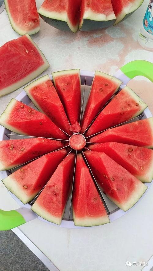 吃瓜每日大赛,年度热门事件盘点，揭秘娱乐圈幕后真相